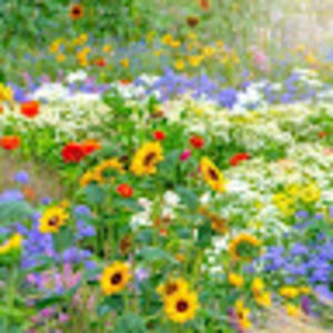 Meet your Posher, Janaia